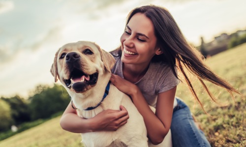 Local Dog Parks Cover Image